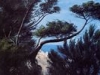 ecologia5