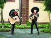 los-mariachis